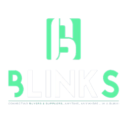 BlinkS Logo